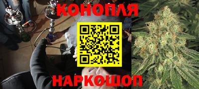 мдма Кингисепп