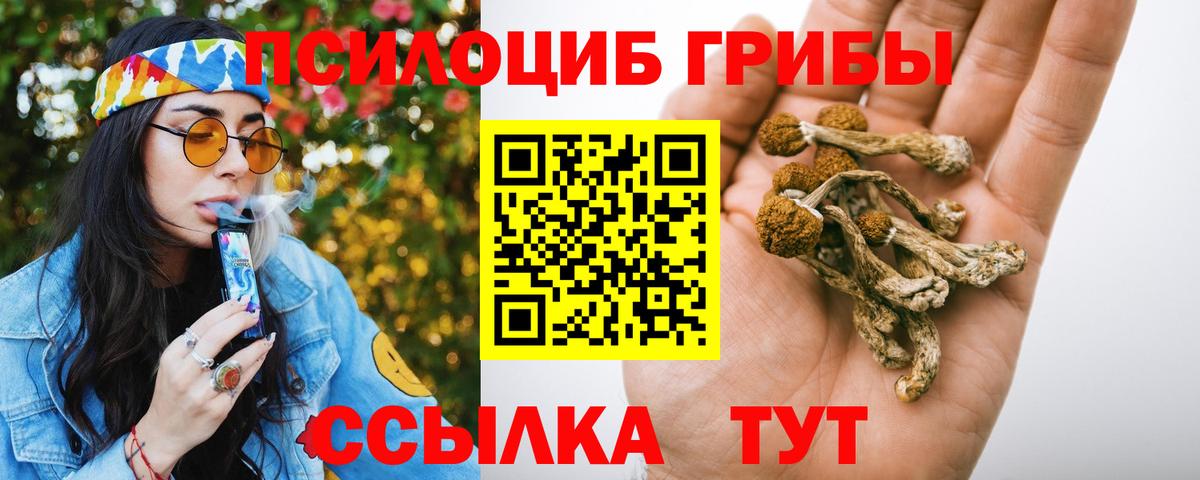 Псилоцибиновые грибы Psilocybe Кувандык