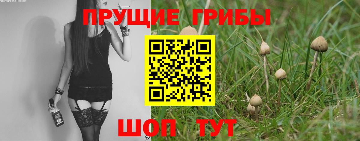 ГАШИШ Кувандык